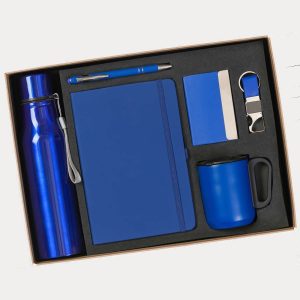 Premium Corporate Gift Hamper – Model RV1933