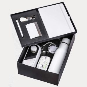 Premium Corporate Gift Hamper – Model RV2310