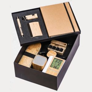 Eco-Friendly Gift Combo – Model RV2313