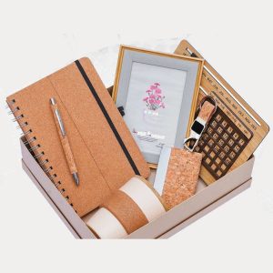 Eco-Friendly Gift Combo – Model RV2510